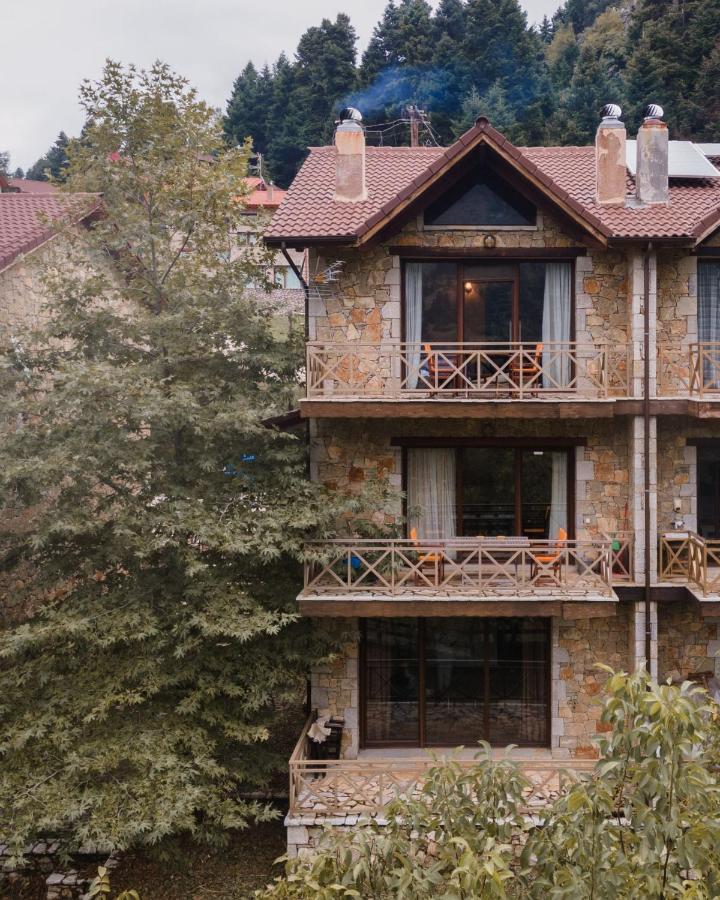 Parnassus Dreamwood Chalet Eptálofos Extérieur photo